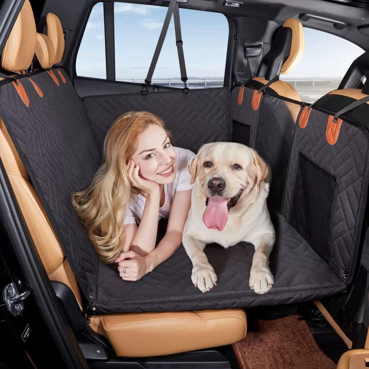 Treat your dog to a comfortable rideConsectetur